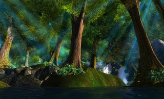 chakryn forest_002