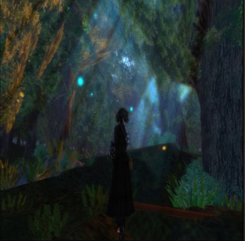 chakryn forest.